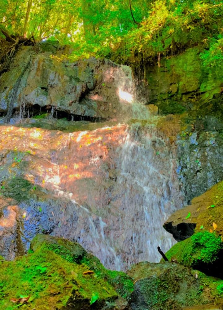 Cascata privativa na mata