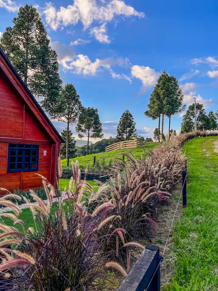 Arquitetura barn house em meio à natureza